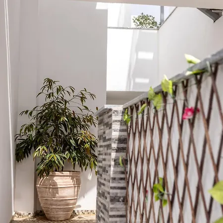 Milea Otel Aya Napa